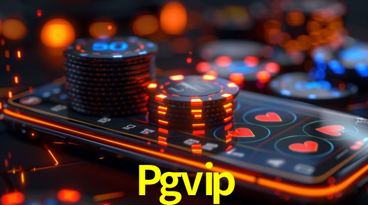 Experiência VIP Pgvip